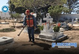 Cabildo aprueba calendario de glosas para Primer Informe de Gobierno 2025 Cabildo aprueba calendario de glosas para Primer Informe de Gobierno 2025