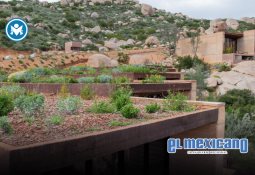 &Oacute;pera de Tijuana celebra su 25 aniversario con Verbena Siciliana y Cavalleria Rusticana