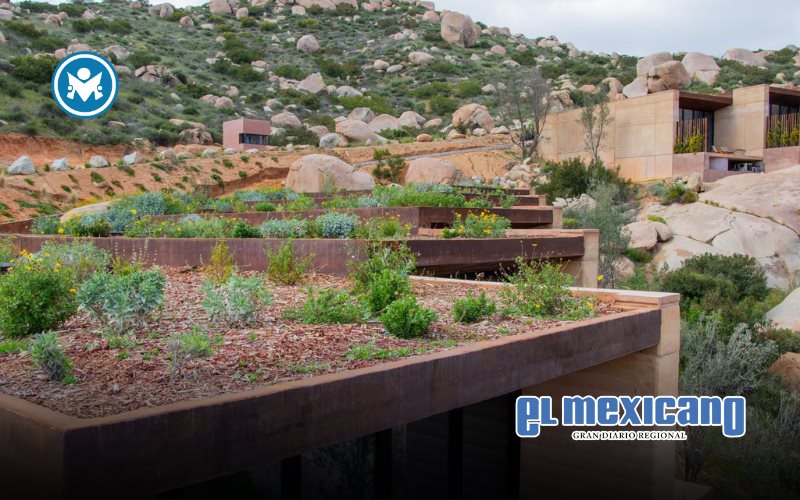 Infraestructura verde gana terreno en Tijuana frente a la crisis climática