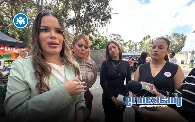 Celebra colectivo CESODI restitución de sus hijos a madre víctima de violencia vicaria Celebra colectivo CESODI restitución de sus hijos a madre víctima de violencia vicaria