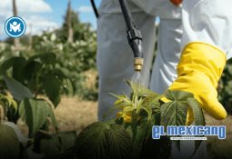 Liquidan a CIBanco tras acusaciones de lavado de dinero Liquidan a CIBanco tras acusaciones de lavado de dinero