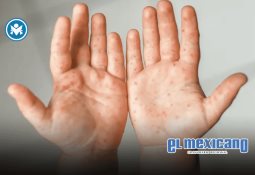 Gobernadora Marina del Pilar lanza nueva convocatoria de Mujeres al Volante como una opción para acceder a empleo digno Gobernadora Marina del Pilar lanza nueva convocatoria de Mujeres al Volante como una opción para acceder a empleo digno