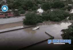 Pedro Pascal se suma a la marcha No Kings contra Donald Trump en Los Ángeles con cartel y ritmo