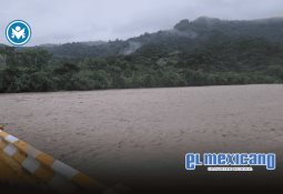 Scotiabank impulsa las finanzas sostenibles en la Semana de Acción Climática de México Scotiabank impulsa las finanzas sostenibles en la Semana de Acción Climática de México