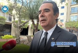 Recolectan 960 kilogramos de basura en colonia Popular Emiliano Zapata Recolectan 960 kilogramos de basura en colonia Popular Emiliano Zapata