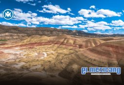 Inundaciones en Poza Rica dejan al menos 15 muertos y miles de afectados