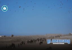 María Corina Machado gana el Nobel de la Paz 2025 tras años de lucha por la democracia María Corina Machado gana el Nobel de la Paz 2025 tras años de lucha por la democracia