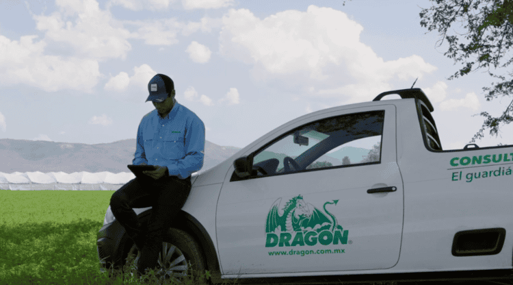 imagen-cuerpo imagen-cuerpo