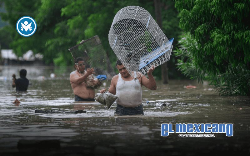Al menos 44 muertos y 27 desaparecidos por lluvias intensas en cuatro estados de M&eacute;xico