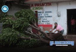 Sheinbaum exige a la UV investigar desaparición de estudiantes tras inundaciones en Poza Rica Sheinbaum exige a la UV investigar desaparición de estudiantes tras inundaciones en Poza Rica