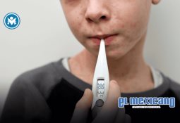 Bienestar inicia censo casa por casa en zonas afectadas por las lluvias en Hidalgo, Puebla, San Luis Potosí, Veracruz y Querétaro Bienestar inicia censo casa por casa en zonas afectadas por las lluvias en Hidalgo, Puebla, San Luis Potosí, Veracruz y Querétaro