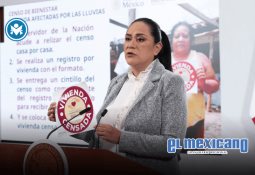 Liberan a esposa e hijo de "Lord Pádel"; seguirán juicio en libertad Liberan a esposa e hijo de "Lord Pádel"; seguirán juicio en libertad