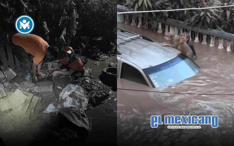 Voluntarios y autoridades rescatan animales atrapados por inundaciones en Poza Rica Voluntarios y autoridades rescatan animales atrapados por inundaciones en Poza Rica