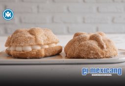 Biocodex Microbiota Foundation premia estudio sobre microbiota y deterioro cognitivo en mujeres postmenopáusicas Biocodex Microbiota Foundation premia estudio sobre microbiota y deterioro cognitivo en mujeres postmenopáusicas