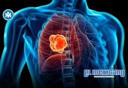 DJ Anyma maravilló con show en las Pirámides de Giza, Egipto DJ Anyma maravilló con show en las Pirámides de Giza, Egipto