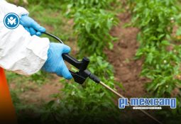 CJNG entrega despensas a damnificados de Poza Rica CJNG entrega despensas a damnificados de Poza Rica