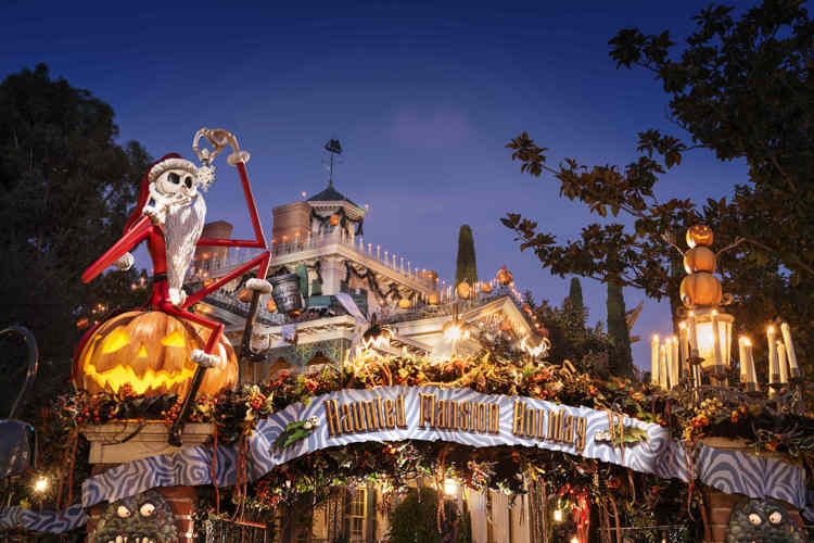 imagen-cuerpo imagen-cuerpo