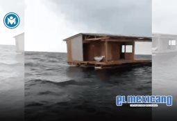 Pedro Pascal se suma a la marcha No Kings contra Donald Trump en Los Ángeles con cartel y ritmo