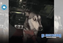 EE.UU. revoc&oacute; la visa del ex Gobernador H&eacute;ctor Astudillo