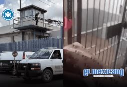 Retiran 70 toneladas de basura y maleza del arroyo El Gallo