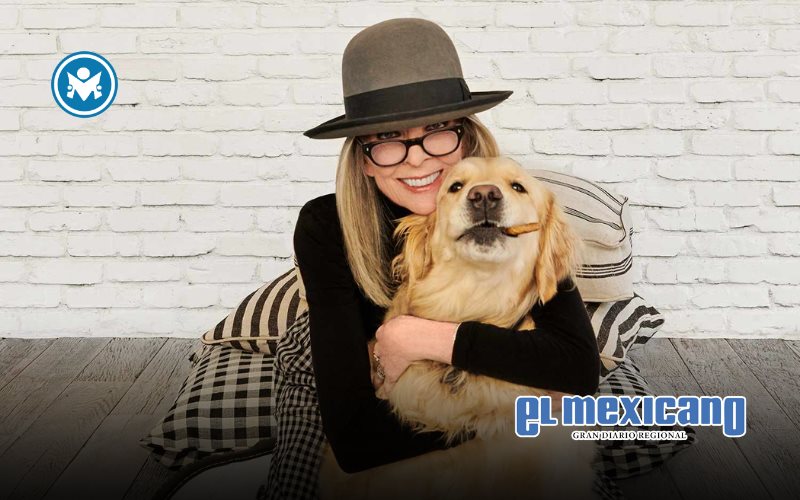 Diane Keaton deja 5 millones de dólares a su perro Reggie en su testamento