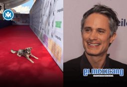 "DIÁLOGOS: Agua / Tierra", la nueva exposición de Krytzia Dabdoub en Polanco "DIÁLOGOS: Agua / Tierra", la nueva exposición de Krytzia Dabdoub en Polanco