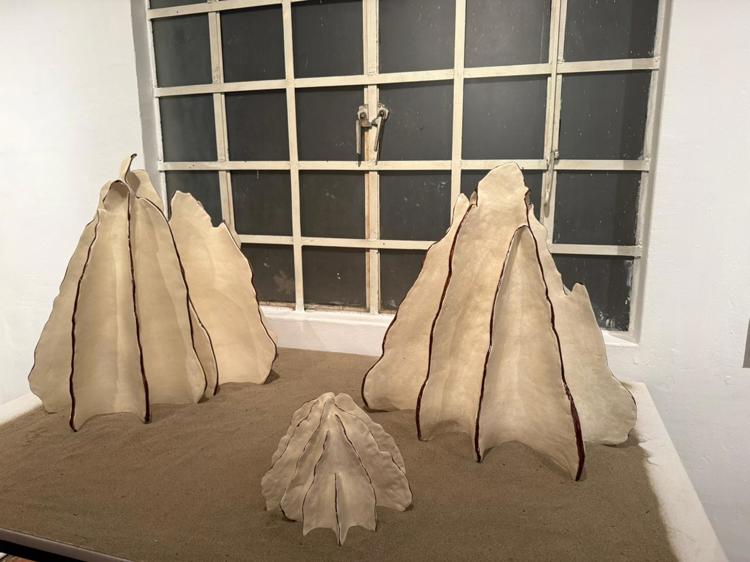 imagen-cuerpo imagen-cuerpo