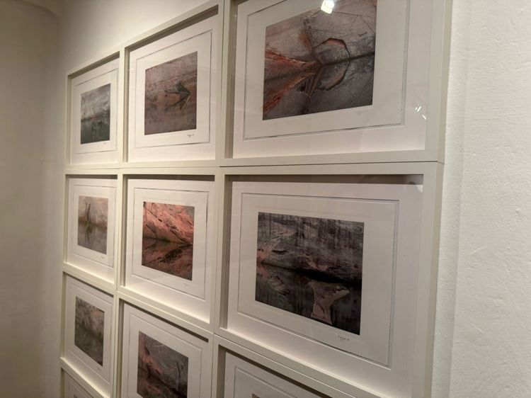 imagen-cuerpo imagen-cuerpo