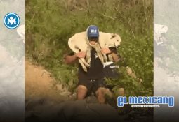 Sheinbaum anuncia 10 mil millones de pesos en apoyos para familias afectadas por lluvias