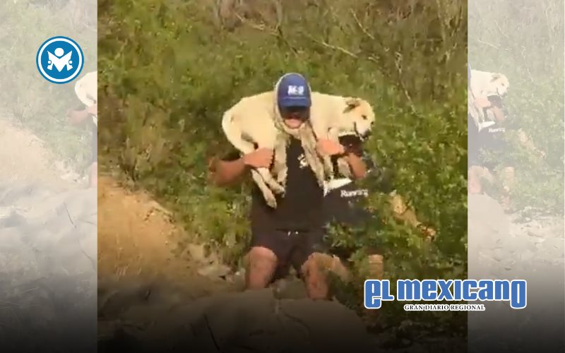 Ciudadanos rescatan a perro atrapado en el cerro El Bachoco en Hermosillo