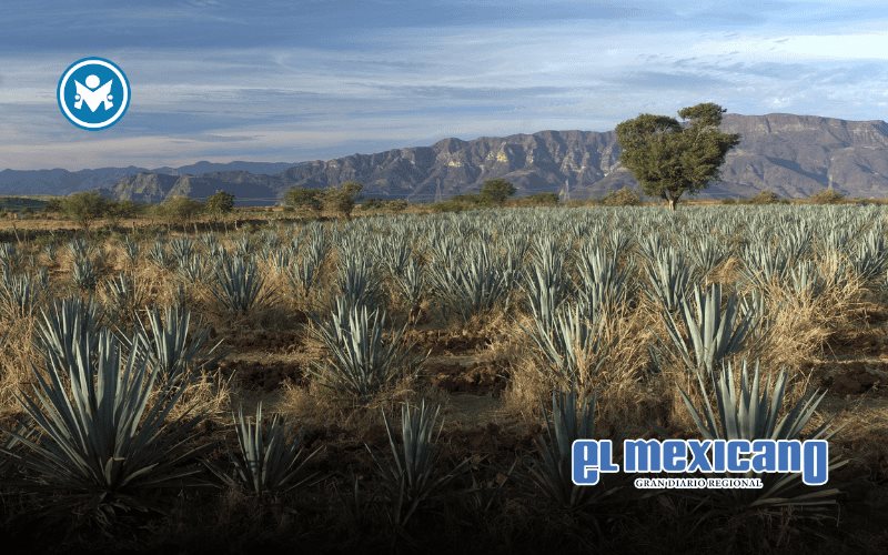 Occidente de M&eacute;xico se consolida como polo de inversi&oacute;n: Jalisco y Nayarit lideran el crecimiento financiero