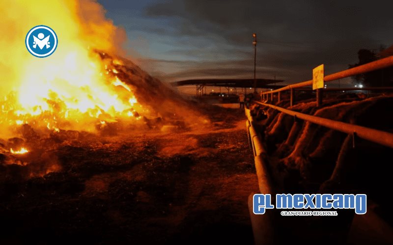 Incendio consume 4.000 pacas de alfalfa en un rancho a espaldas del fraccionamiento Xochicalli