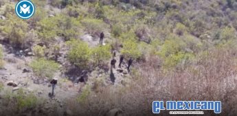 Hallan restos humanos durante jornada de búsqueda en Maneadero Hallan restos humanos durante jornada de búsqueda en Maneadero