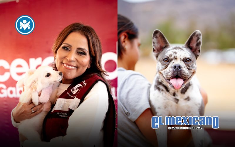 Consolida gobierno de Claudia Agatón acciones para el bienestar animal Consolida gobierno de Claudia Agatón acciones para el bienestar animal