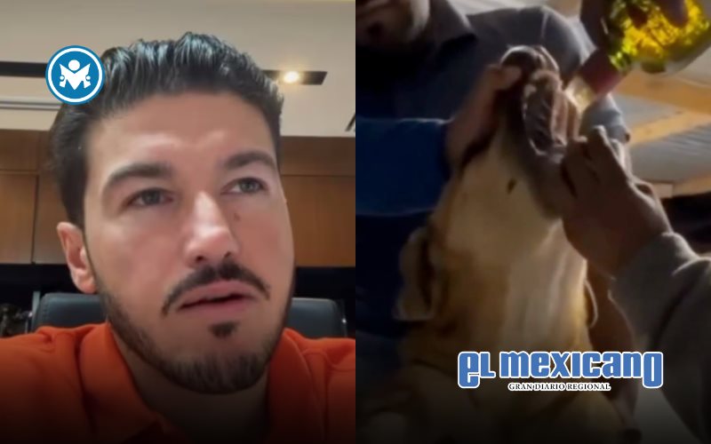 Obligan a perro a beber alcohol en Nuevo León Obligan a perro a beber alcohol en Nuevo León