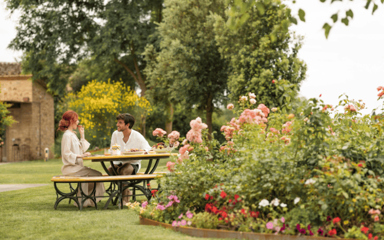 imagen-cuerpo imagen-cuerpo