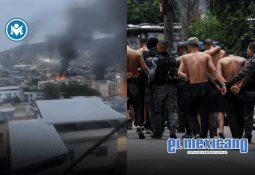 Escapan monos de laboratorio tras volcamiento de camión en Mississippi Escapan monos de laboratorio tras volcamiento de camión en Mississippi