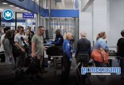 Escapan monos de laboratorio tras volcamiento de camión en Mississippi Escapan monos de laboratorio tras volcamiento de camión en Mississippi