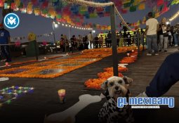 25 plazas de Tijuana se amparan contra 40 minutos de estacionamiento gratuito