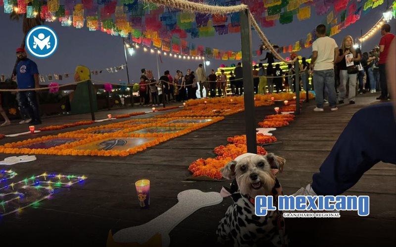 Familias rinden homenaje a sus mascotas con altar monumental Familias rinden homenaje a sus mascotas con altar monumental
