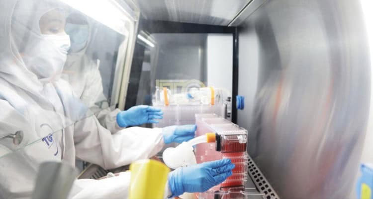 imagen-cuerpo imagen-cuerpo