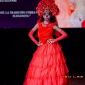 Pasarela de Catrinas Pasarela de Catrinas