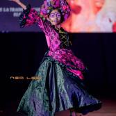 Pasarela de Catrinas Pasarela de Catrinas