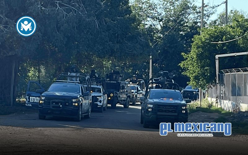 Abaten a 13 presuntos sicarios en operativo del Gabinete de Seguridad en Guasave Abaten a 13 presuntos sicarios en operativo del Gabinete de Seguridad en Guasave