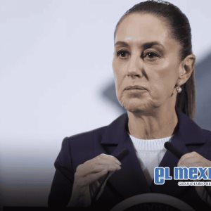 Sheinbaum advierte que quienes busquen la Presidencia deberán dejar sus cargos; a ver si la senadora Julieta Ramírez y el senador Armando Ayala hacen caso a la presidenta Sheinbaum advierte que quienes busquen la Presidencia deberán dejar sus cargos; a ver si la senadora Julieta Ramírez y el senador Armando Ayala hacen caso a la presidenta