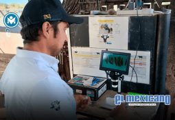 Grecia Quiroz asumirá la alcaldía de Uruapan tras el asesinato de su esposo, Carlos Manzo