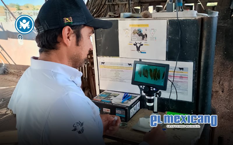 Detectan primer caso de gusano barrenador en Jalisco