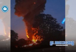 Funcionaria de Puerto Vallarta se vuelve viral al admitir desconocer sus funciones