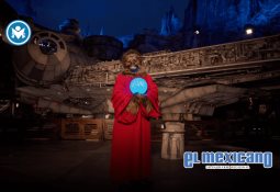 Aceitunas: del picoteo a la olla