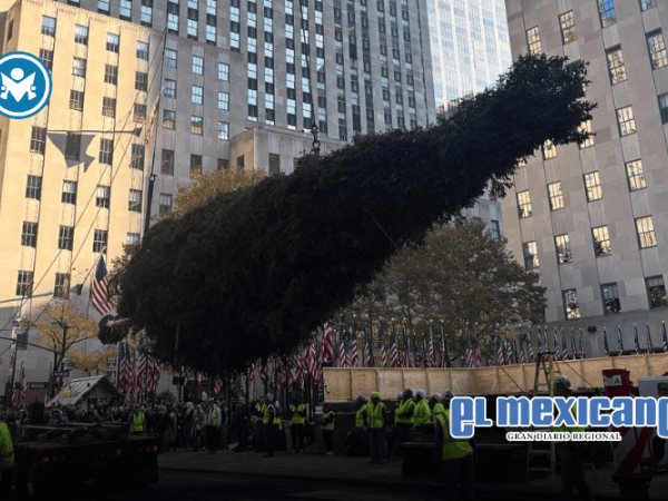 Abeto de 23 metros llega al Rockefeller Center para la navidad 2025